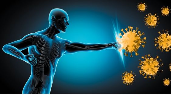 Immunity Boosting